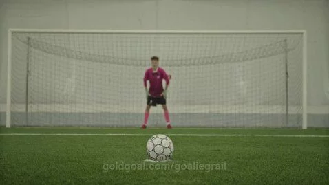 goaliegrail post preview